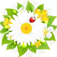 Алексеева Екатерина Сергеевна